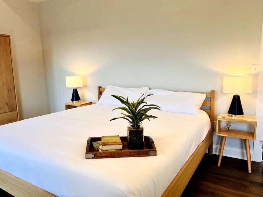 Riverside House แอชวิลล์ ภายนอก รูปภาพ